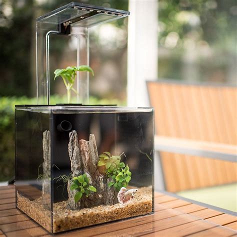self sustaining aquarium|self contained ecosystem aquarium.